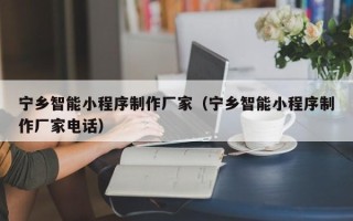 义乌宁乡智能小程序制作厂家（宁乡智能小程序制作厂家电话）