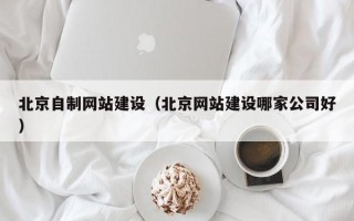 义乌北京自制网站建设（北京网站建设哪家公司好）